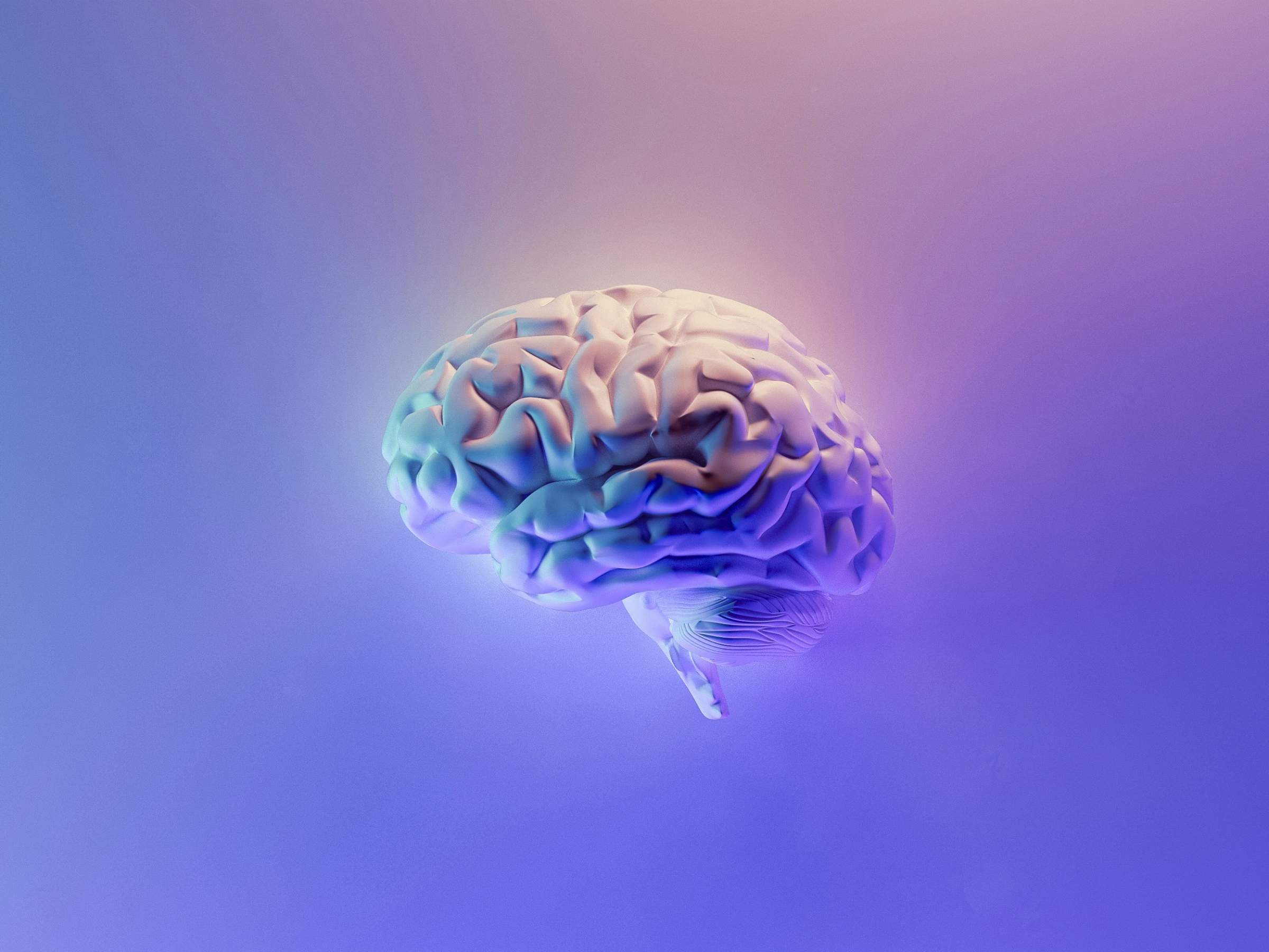 AI Impact on Ipsum Nulla Glavrida Amet for the Future